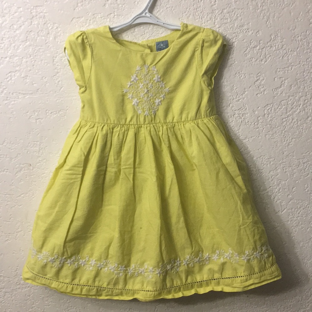 Baby Gap  embroidery dress